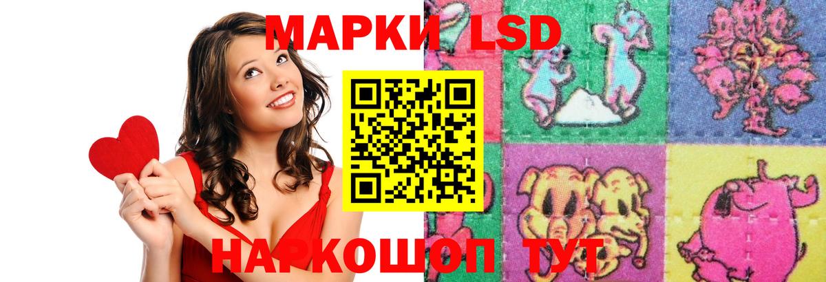 MEGA ссылки  Вход с VPN  Грозный  LSD-25 экстази  LSD-25 экстази ecstasy  Лсд 25 экстази ecstasy 