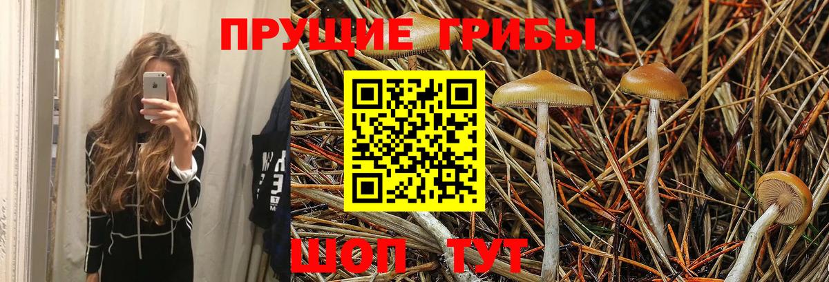 Псилоцибиновые грибы Psilocybe  Псилоцибиновые грибы мухоморы  Вход с VPN  Грозный 